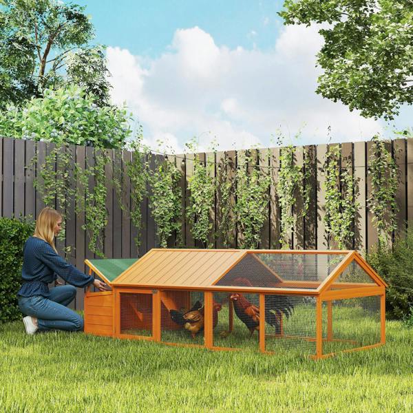 Chicken Coop