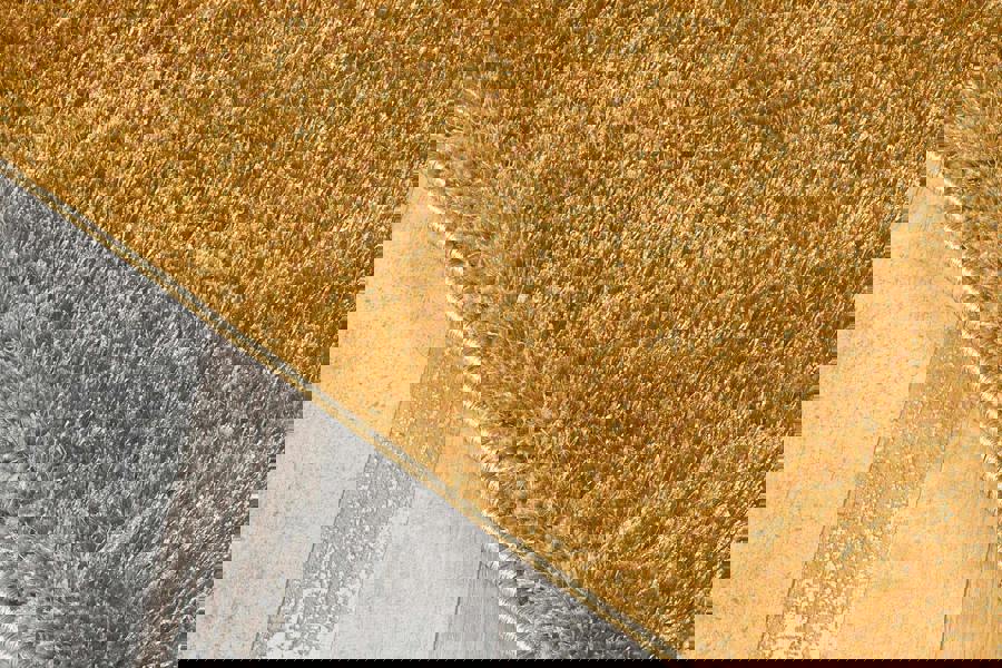 Smart Living Polyester Shaggy Rug - Gold