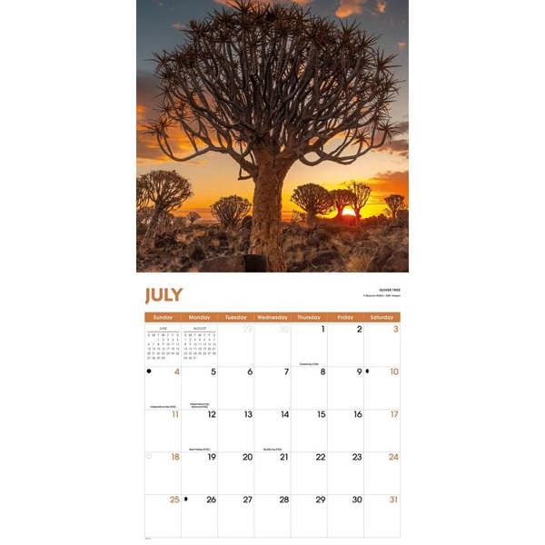 Trees Calendar 2027, Wall Calendars, Month To View, Natural World, Gift