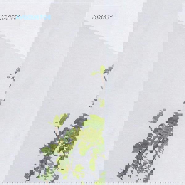 Korres Avgoustos Eau De Toilette 10 ml