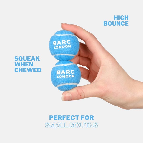 Barc London Blue Mini Dog Ball