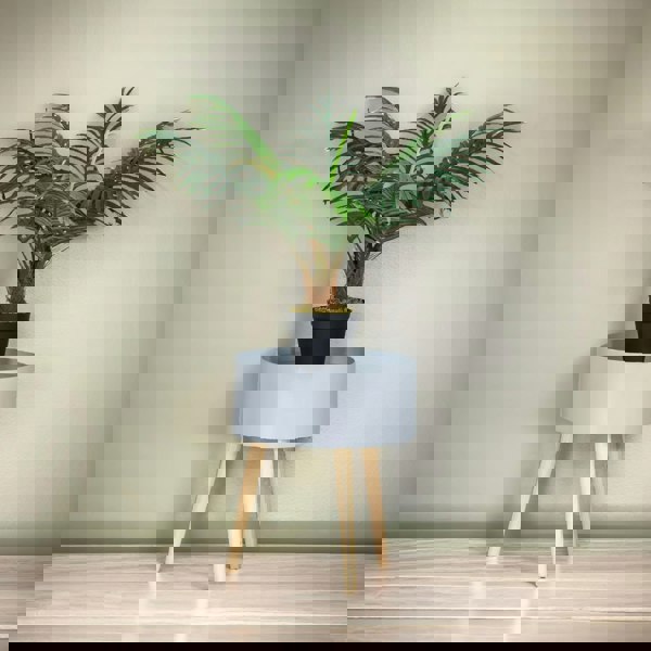 Rafaelo Mobilia Artificial 60CM/2FT Tall Decorative Palm Plant Green