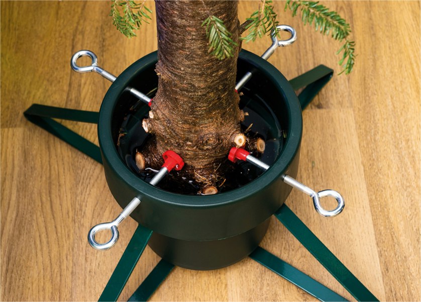 St Helens Christmas Tree Stand, Medium (2.4M Trees)