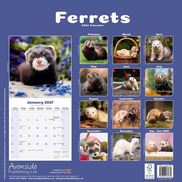 Ferrets Calendar 2027, Wall Calendars, Month To View, Animals, Gift