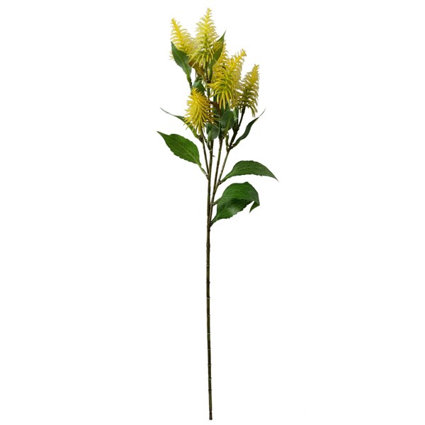 Leaf Pack of 6 x 55cm Callistemon Pallidus Yellow Bottle Brush Stem