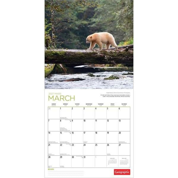 Bears Calendar 2027, Wall Calendars, Month To View, Animals, Gift