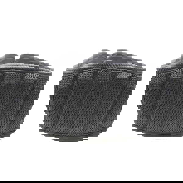 Padding on Exercise Lifting Belt