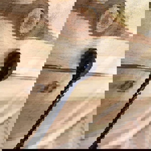 Samuel Alexander 2 Pack of Tom Chambers Cottage Heavy Duty Black Metal Steel Herbaceous Garden Plant Support Arc Small 60cm x 36cm