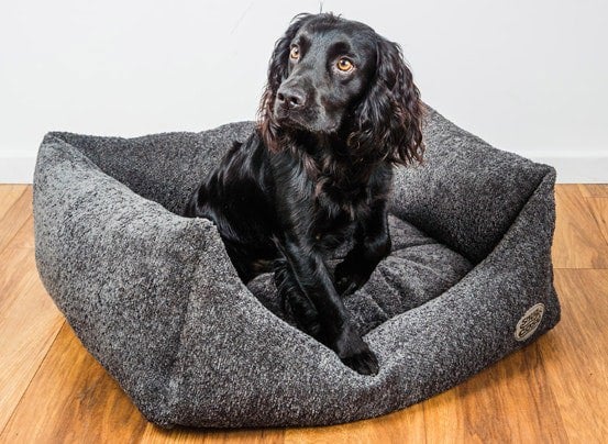 Luxury Teddy Boucle Dog Puppy Bed - Plush Pet Bed with Padded Sides - Dog Bed for dogs Snug and Cosy Pets