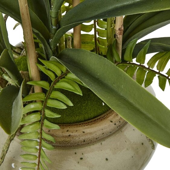 Wyld Haus Artificial Plant White Vanda Orchid Plant In Ceramic Pot