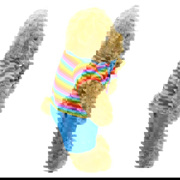 Wilberry Rainbow Bear - Wilberry Dressed Animals