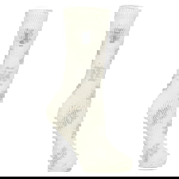 t4option1_4