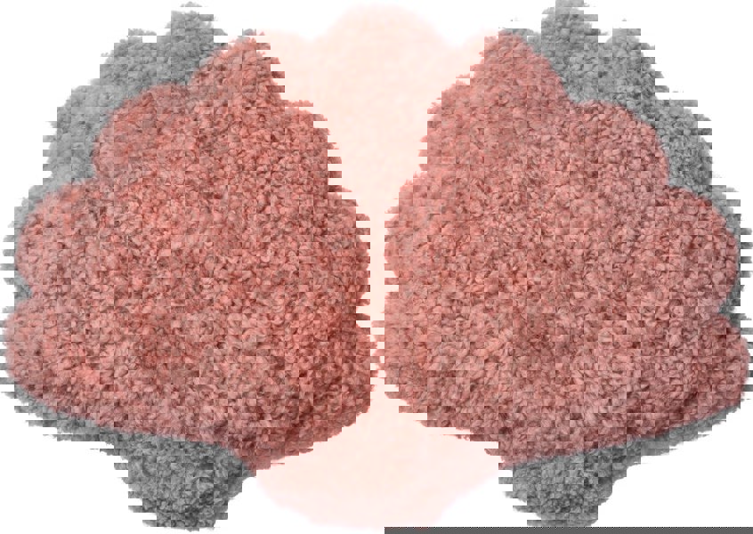 Shell Cushion | Small | 35x50 cm Coral Rose