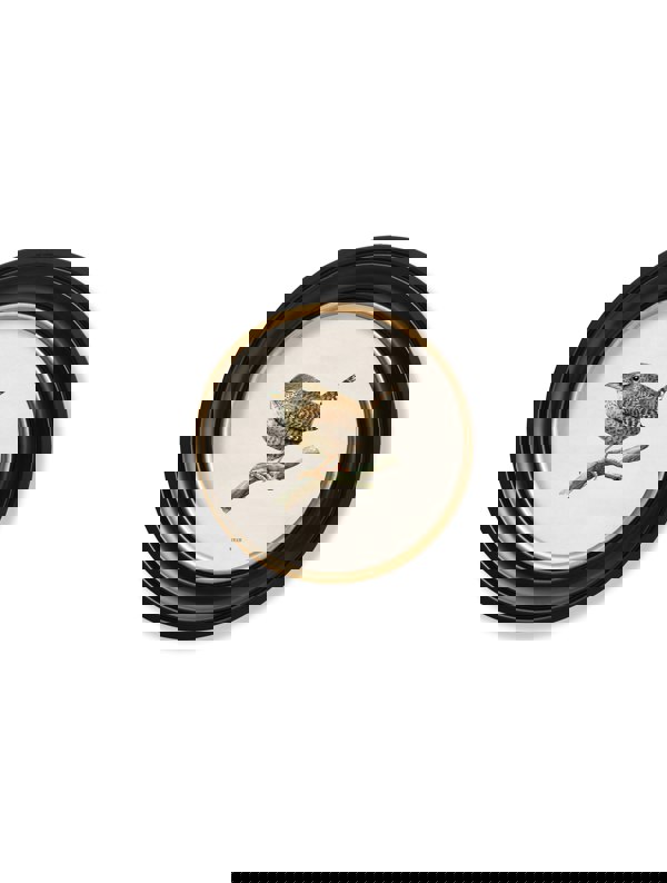 Exceptional Art Wren in Round Frame