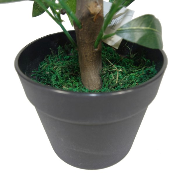 Leaf 50cm Dwarf Artificial Bay Tree Laurel Topiary Bush