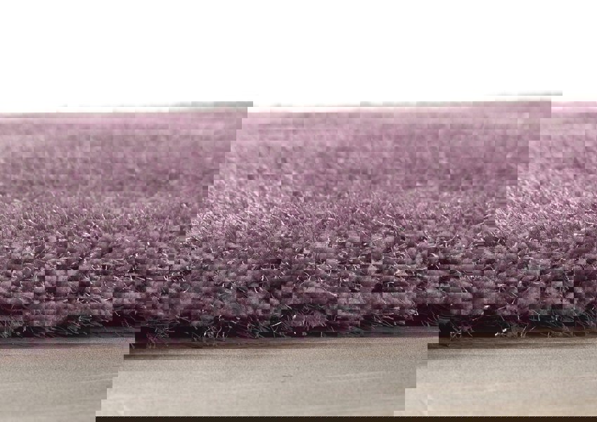 Origins Chicago Lavender