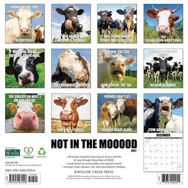 Not In The Mooood Calendar 2027, Wall Calendars, Month To View, Animals, Gift