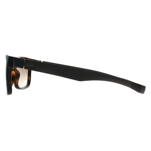 Lacoste Sunglasses L662S 214 Havana Brown Gradient