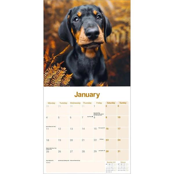 Dobermann Calendar 2027, Wall Calendars, Month To View, Dogs, Gift