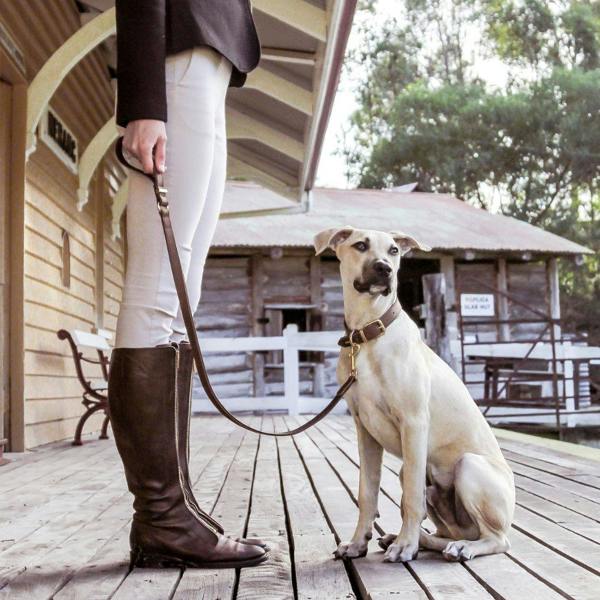 EzyDog Oxford Leather Classic Dog Lead in Brown