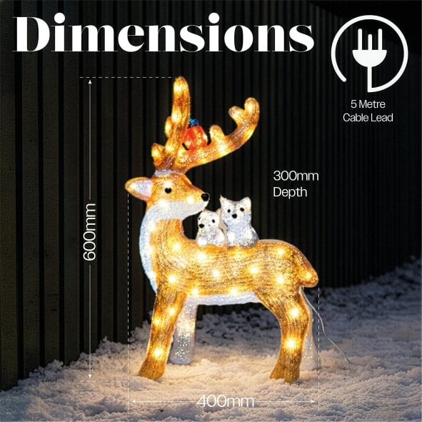 Scotts of Stow Xmas Haus Acrylic Deer with 80 LEDs and Timer