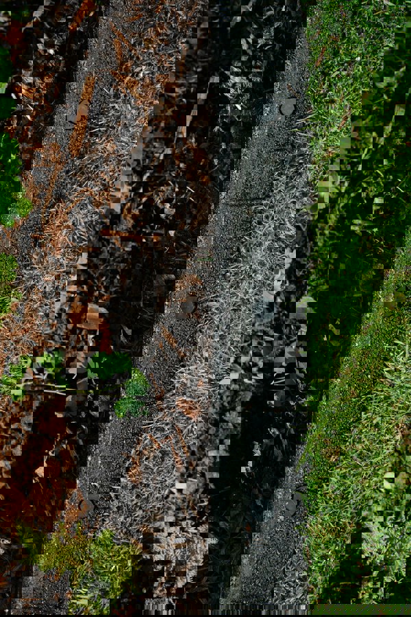 FlexiBorder Black FlexiBorder