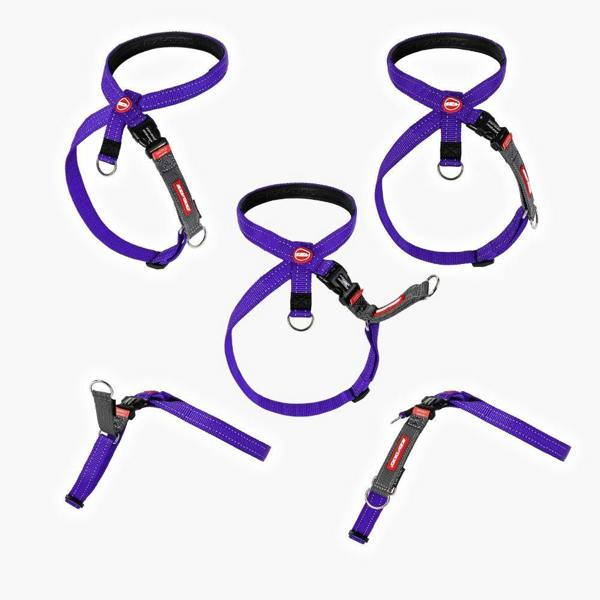 EzyDog Crosscheck Dog Harness in Purple
