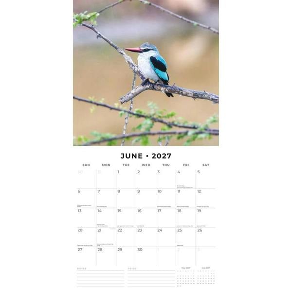 Kingfishers Calendar 2027, Wall Calendars, Month To View, Animals, Gift