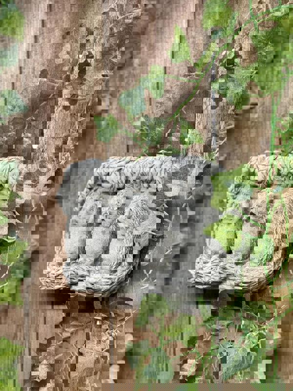 Cute Hedgehog family Stone Wall Plaque