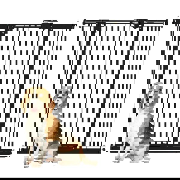 D06-096V04BK
