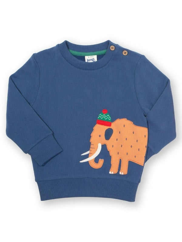 Kite Boys Organic Woolly Mammoth Sweatshirt
