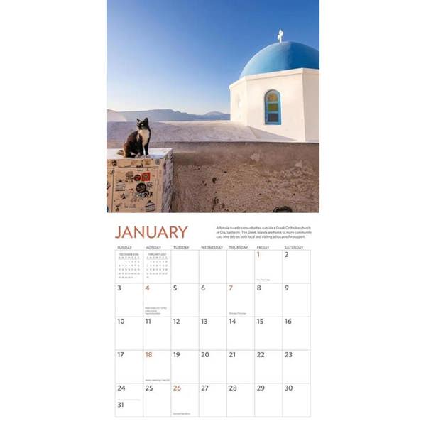 Cats of the World Calendar 2027, Wall Calendars, Month To View, Cats, Gift