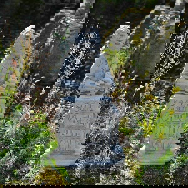 Funny Stone Cast Lawn Sign Gin Man