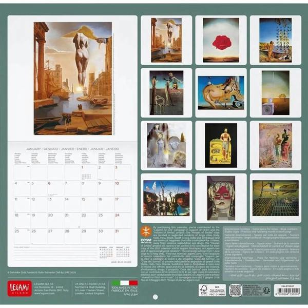 Salvador Dali Calendar 2027, Wall Calendars, Month To View, Art, Gift