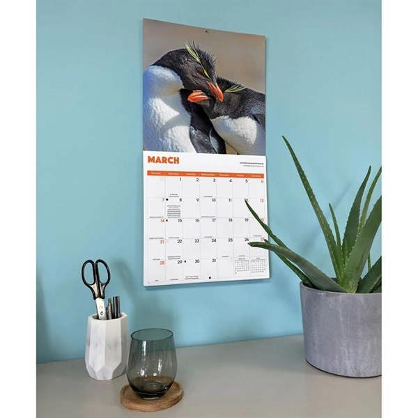 Penguins Calendar 2027, Wall Calendars, Month To View, Animals, Gift