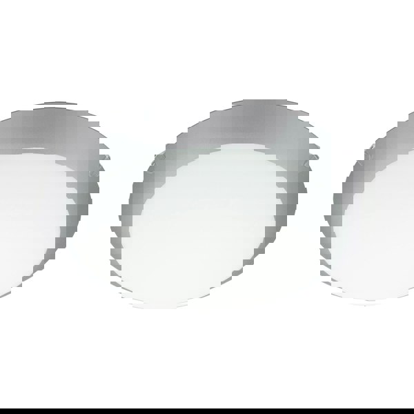 Wall Flush Ceiling Light White Steel White Silver Satin Glass Bulb E27 1x60W Loops