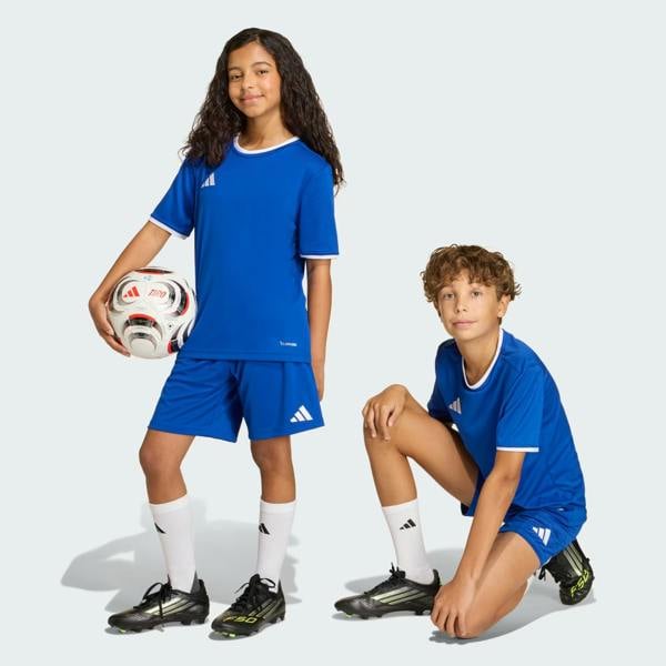 Adidas Junior Entrada 26 Shorts Blue JZ6524