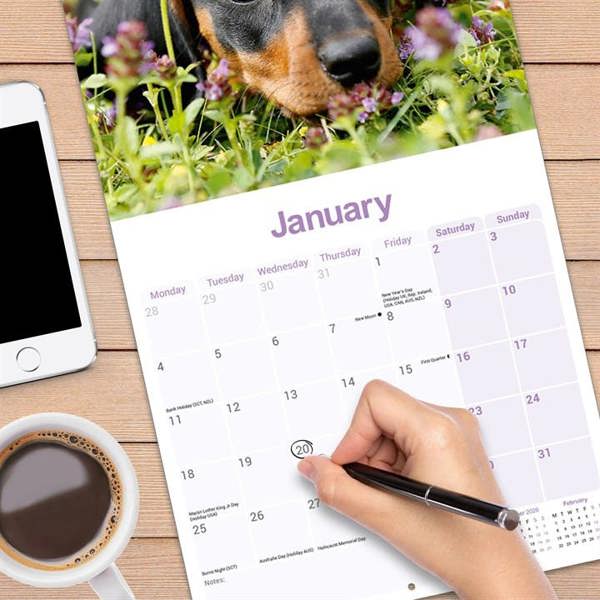 Dachshund Puppies Calendar 2027, Wall Calendars, Month To View, Dogs, Gift