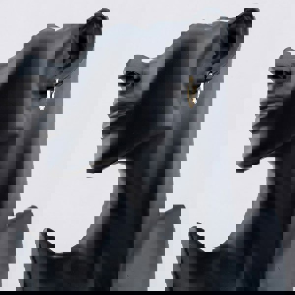 T. H. Baker Silver Gold Plated Oval Patterned Creole Hoop Earrings S3042