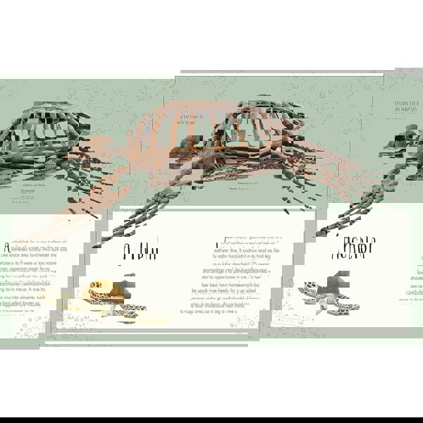 Dinosaurs and Other Prehistoric Life (DK Children's Anthologies)