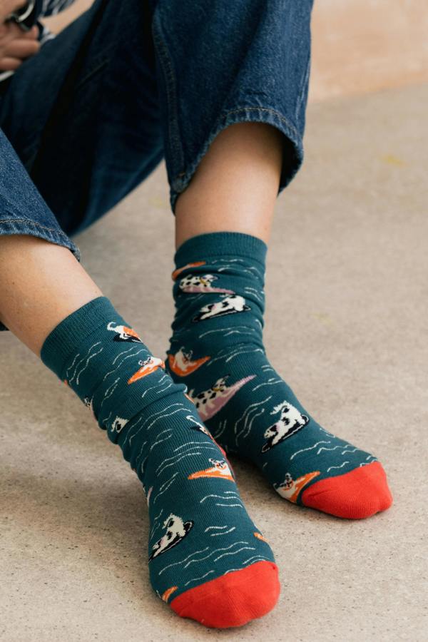 Lily & Me Bowie The Surf Dog Bamboo Socks And Decoration Giftbox