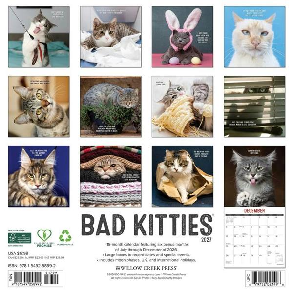 Bad Kitties Calendar 2027, Wall Calendars, Month To View, Cats, Gift
