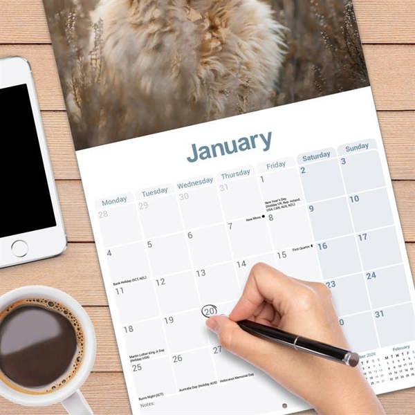 Labradoodle Calendar 2027, Wall Calendars, Month To View, Dogs, Gift