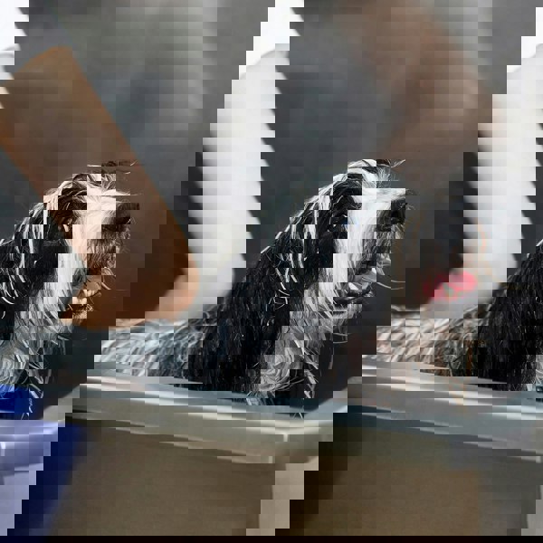 Monstershop Pet Dog Bath Steel Tub Washing Station 400mm