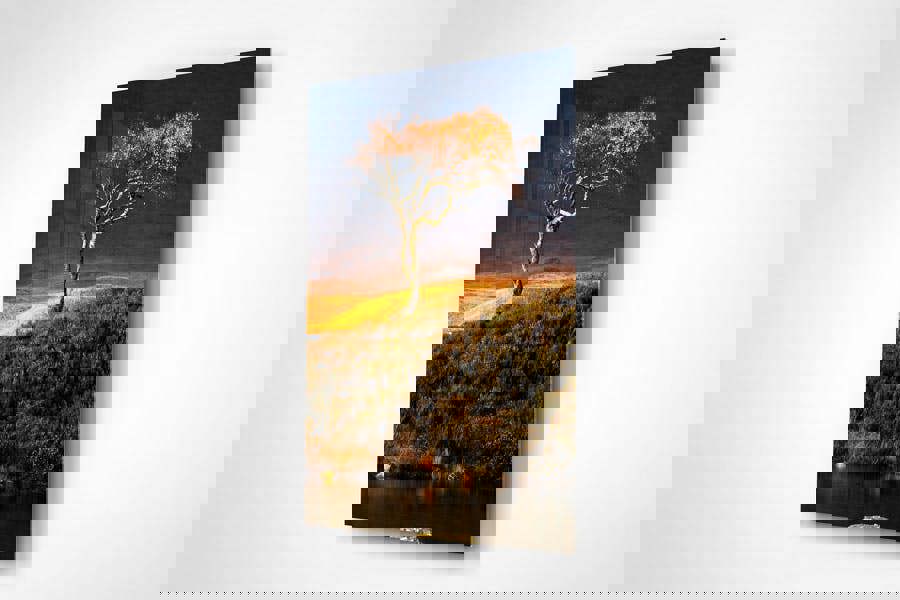 autumn tree photographic art print