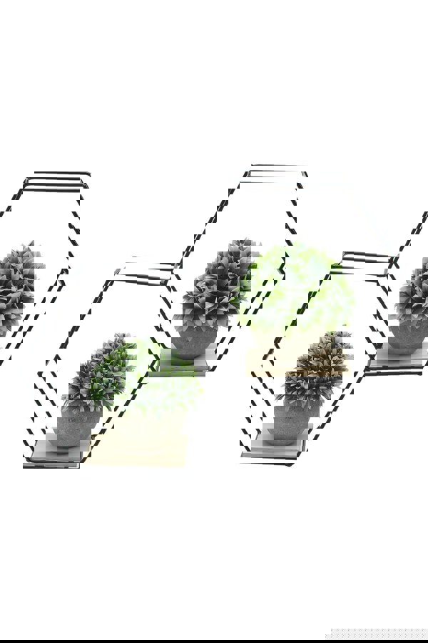 Living and Home Modern Classic Stable Hexagon Wall Shelf with Iron Frame