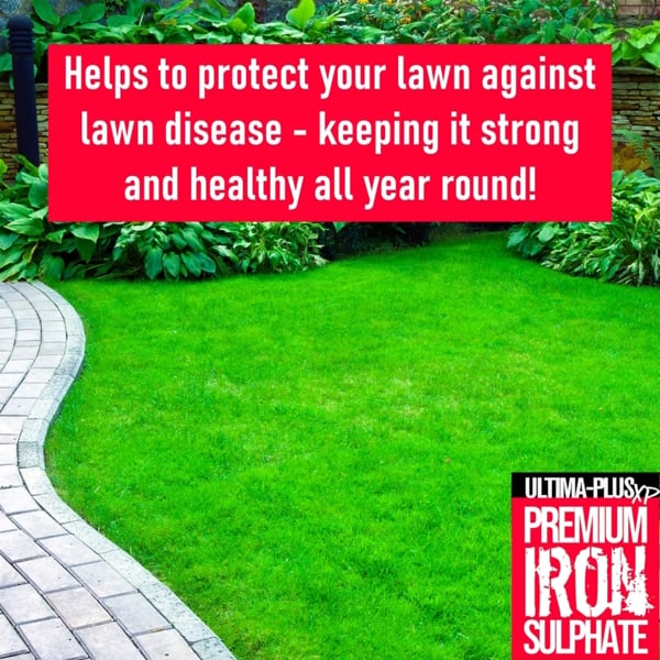 Ultima Plus XP ULTIMA-PLUS XP Premium Iron Sulphate - Greens Grass and Hardens Turf Makes up to 1000L & Covers up to 1000m2(1kg)