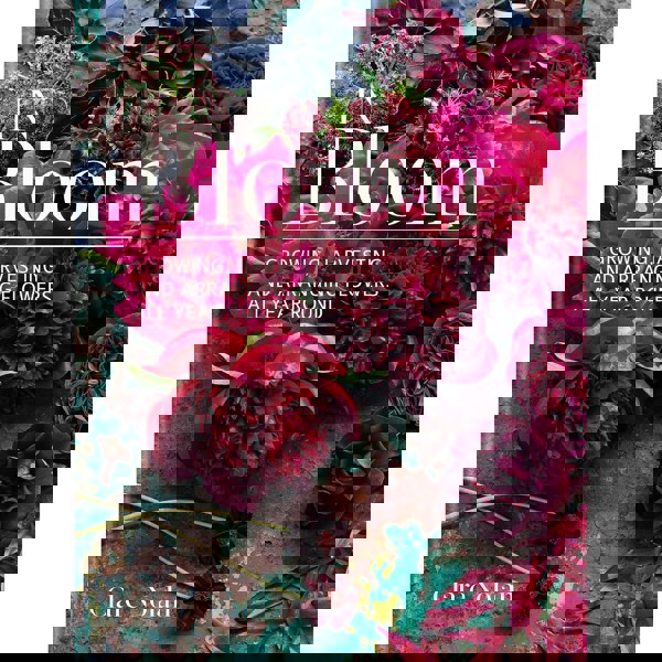 In Bloom: Growing, harvesting and arranging flowers all year round by Clare Nolan