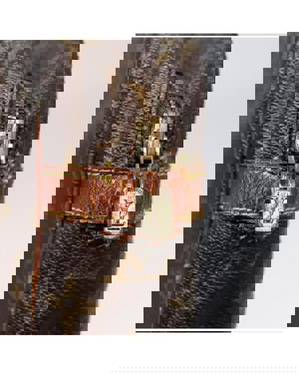 193975487.jpg