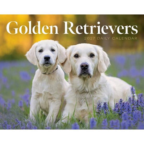 Golden Retrievers Desk Calendar 2027, Desk Calendars, Day To View, Dogs, Gift